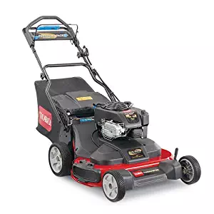 Best self propelled variable speed lawn mower