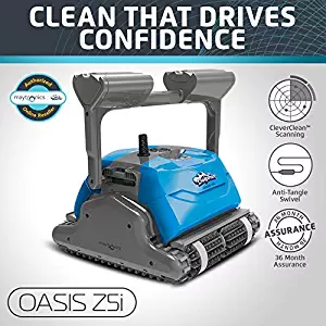 Best dolphin pool vacuum reviews