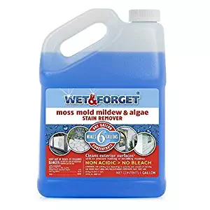 Best remove mildew stains from carpet