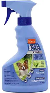 Best dog fleas on carpet
