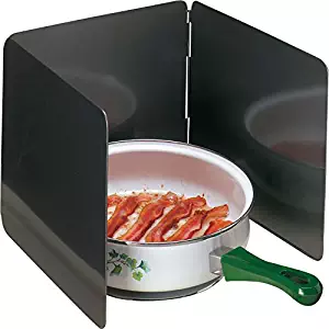 Best 2 burner backsplash griddle