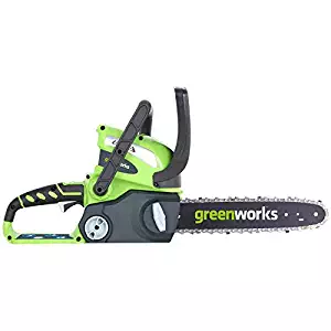 Best greenworks electric chainsaw oil