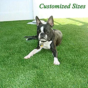 Best roll of indoor outdoor carpet