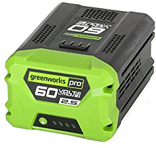 Best greenworks pro 60v chainsaw