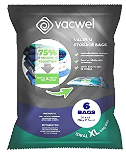 Best what vacuum sealer is
