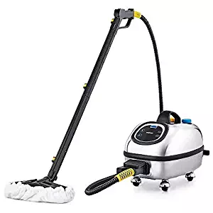 Best dry steam cleaner bed bugs
