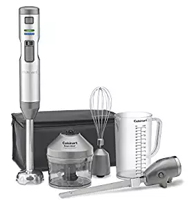 Best cuisinart smart stick hand blender smoothie