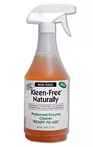 Best power kleen carpet cleaning
