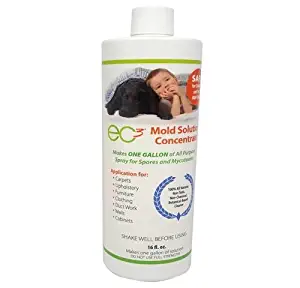Best remove mildew stains from carpet