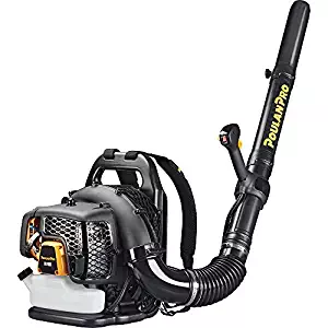 Best makita leaf blower 4 stroke