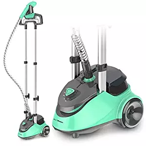 Best dry steam cleaner bed bugs