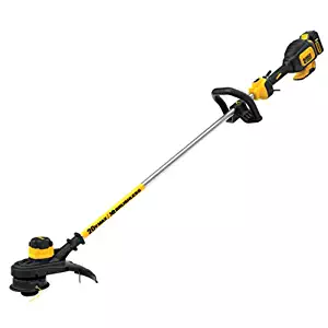 Best dewalt 20 volt max review