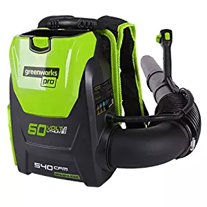 Best greenworks pro 60v chainsaw