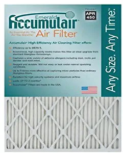Accumulair FC08X30_4 MERV 6 Rating Air Filter/Furnace Filters, 8x30x1 (7.5 x 29.5) - 4 pack