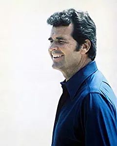 Erthstore The Rockford Files Featuring James Garner 24x30 Poster