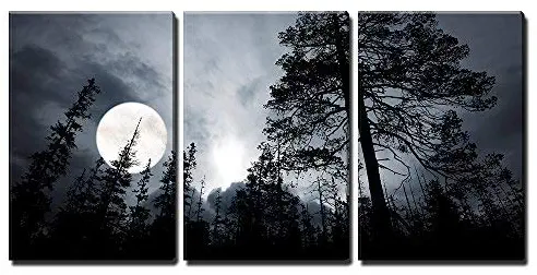 wall26 - Full Moon in The Forest - Canvas Art Wall Art - 16"x24"x3 Panels