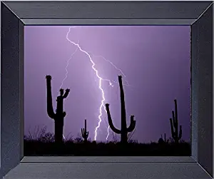 Great Arizona Desert Lightning With Cactus Evening Very Rare Photo Framed Print 14 x 17