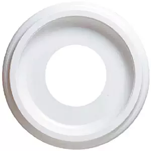 Westinghouse 7703700 9-3/4-Inch Smooth White Finish Ceiling Medallion