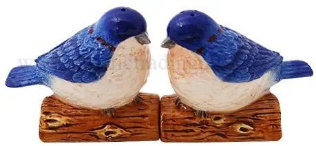 Pacific Giftware Blue Birds Attractives Salt Pepper Shaker Made of Ceramic