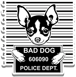 More Shiz Bad Dog Chihuahua Jail Funny Cute Vinyl Decal Sticker - Car Truck Van SUV Window Wall Cup Laptop - One 5.25 Inch Decal - MKS0873