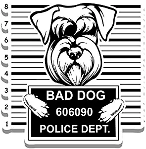More Shiz Bad Dog Schnauzer Jail Funny Cute Vinyl Decal Sticker - Car Truck Van SUV Window Wall Cup Laptop - One 5.25 Inch Decal - MKS0861