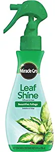 Miracle-Gro 100540 Leaf Shine Ready-to-Use Spray, 12-Ounce(Older Model)