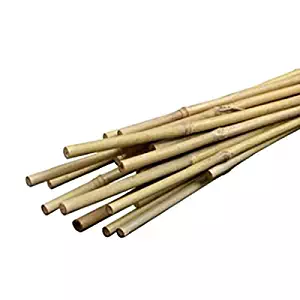 Miracle-Gro SMG12030 Scotts Packaged Bamboo Stakes, 3-Feet, 12-Pack B00MMOVHX6, 3-Foot