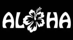 Chase Grace Studio Aloha Hawaii Hawaiian Hibiscus Flower Vinyl Decal Sticker|WHITE|Cars Trucks Vans SUV Boats Laptops Wall Art|7.5" X 3"|CGS395