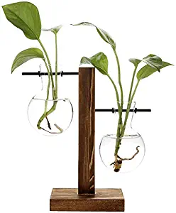 Yugust Stand Glass Planter Vase, Hydroponic Plant Vases with Wooden Stand, Terrarium Boiling Flask-Style Flower Vases Office Desk Wedding Decor